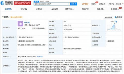 蘇寧布局數(shù)字科技新賽道 成立科技公司，涉足演出經(jīng)紀與數(shù)字內(nèi)容服務(wù)
